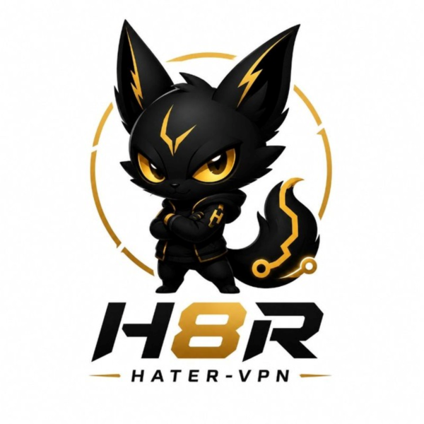 HATER VPN подписка на 30 дней до 7 устройств