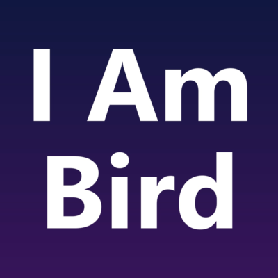 I Am Bird VR Ключ Meta Oculus Quest