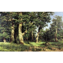 Ivan Shishkin - Oak Grove. 1887