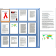 Summary AIDS