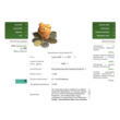 The script input and output webmoney credit service