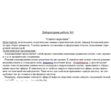 Лабораторная работа №3