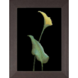 Scheme for Cross Stitch "Lili Face"