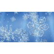 Snowflake 1 code activation