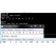 File 25