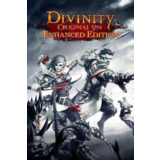 Divinity Original Sin Enhanced Collector´s Edition ГИФТ