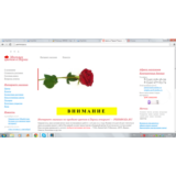 1000RUB - Сертификат оплаты на сайте PERMROZA.RU