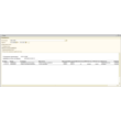 Report 1C Enterprise 8.2 (OtpuskaSotrudnikov)