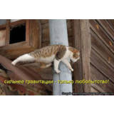 Диплом Управление доходностью предприятия