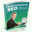 Professional SEO: Secrets of promotion of sites