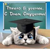 Контрольная Юридическая техника