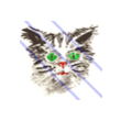 Animated Picture Talking cat