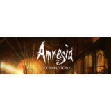 Amnesia Collection (Steam Gift / RU / CIS)
