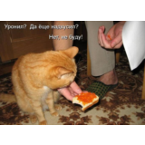 Контрольная Инженерно-технические средства охраны