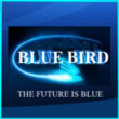 BLUEBIRD-HD.ORG account -account on BlueBird-HD
