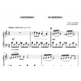 5с05 Скерцино, ПАВЕЛ ЗАХАРОВ / фортепиано
