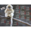 calendar 2016