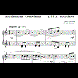 6s01 Little Sonatina, PAVEL ZAKHAROV / piano