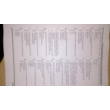 Philosophy. RFEI. The final standings. 100.