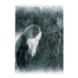 Caucasian passion - a collection of poems about love