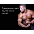 Training in the hall. What You Need to Know