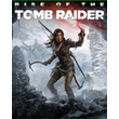 Rise of the Tomb Raider | Оффлайн активация | Steam