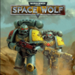 Warhammer 40,000: Space Wolf ✅Steam✅Global✅KEY