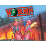 Worms (steam key)