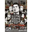 Sleeping Dogs | Оффлайн активация | Steam | Region Free