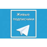 🔥 200 живых подписчиков телеграм без отписок + лайки❤️