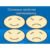 Тест-опросник свойств темперамента (ТОСТ)