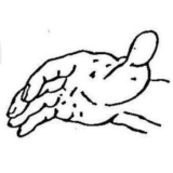 Hand-test» (Тест руки) по Э. Вагнеру