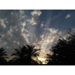 Special Background of Natural Beauty