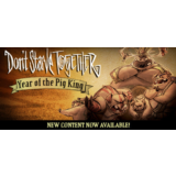 Don´t Starve Together [Steam Gift Region Free]