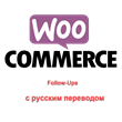 WP woocommerce-follow-up-emails перевод на русский