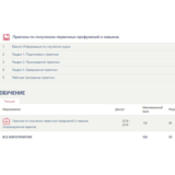 Практика по получению первичных умений.Отчет Синергия