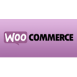 TOP 5 Premium Templates for WooCommerce 2019
