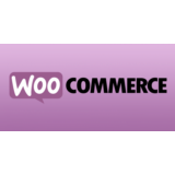 ТОП 5 Премиум шаблонов для WooCommerce 2019