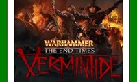 ✅Warhammer End Times Vermintide Collector's Edition RU✅