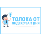 ✅⭐ Курс Яндекс Толока за 3 Дня 📈💰👍🏻