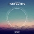 Sunlive - Perfective (Original Mix)