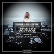 Senses (Vinylsurfer Remix)