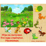 КТО КУДА СПРЯТАЛСЯ насекомые /электронная версия