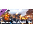 DLC PAYDAY 2 Gage Assault Pack/ Steam Gift / Россия