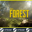 ⛏ The Forest - STEAM (Region free) + BONUS