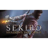 🤺 Sekiro Shadows Die Twice (STEAM) (Region free)