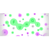 FUNGI STEAM KEY REGION FREE