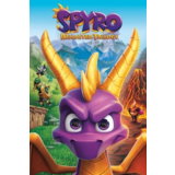 Spyro™ Reignited Trilogy Xbox One & Series X|S ключ🔑