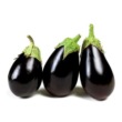 FEATURES OF GROWING EGGPLANTS AND PEPPER