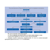 Семинар по европейскому гум. праву (ответы; 2 вариант)